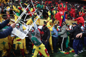 جماهير في مباراة المغرب والسنغال